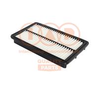 Filtro aria 121-25060 IAP QUALITY PARTS per DR