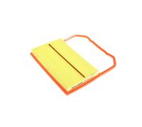 Filtro aria FILTRON AP183/4