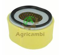 Filtro aria a secco per motore diesel 186 FA L 100 Yanmar Kama Vulcan Motozappa