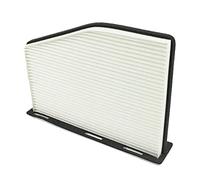 Filtro Aria Abitacolo DE1473 della Filter Parts Made in Italy