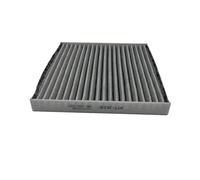 Filtro Aria abitacolo per VENUCIA D50 R50 M50V/Nissan SYLPHY G11/DongFeng FORTHING S50 Rich/Aeolus A60/ORA R1 Accessori 272772FJ0A