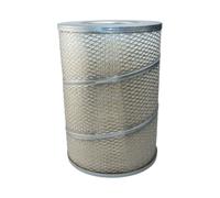 Filtro Aria Adatto A FORD CARGO 1721 RA2366