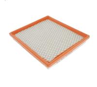 Filtro aria BLUE PRINT ADA102236 per DODGE CARAVAN (RG_) 3.3 2001-2007