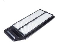 Filtro aria BLUE PRINT ADH22252 per HONDA ACCORD VII (CM) 2.4 2002-2005