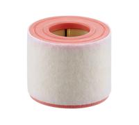 Filtro aria C 15 010 MANN-FILTER per AUDI