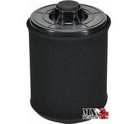 FILTRO ARIA CAN AM OUTLANDER STD 650 EFI 2017-2022 ALL BALLS 48-1020