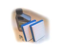 Filtro Aria - Candela di Accensione - Kit Servizio per Wolf Garten 2.46HA