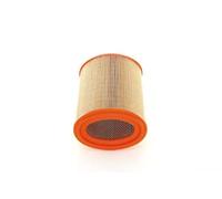 Filtro aria Cartuccia filtro 1 457 433 234 BOSCH per CITROËN PEUGEOT NISSAN