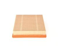 BOSCH 1 457 433 550 Filtro aria