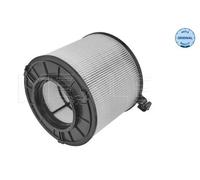 Originale MEYLE Filtro Aria 112 321 0043 per Audi