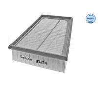 Filtro aria Cartuccia filtro 16-12 321 0008 MEYLE per RENAULT MEGANE II
