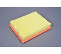 Filtro aria Cartuccia filtro 180034110 AUTOMEGA per CITROËN XSARA Coupé XSARA