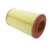 Filtro aria Cartuccia filtro 180034410 AUTOMEGA per FIAT PEUGEOT CITROËN