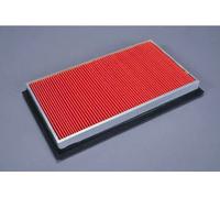 Filtro aria Cartuccia filtro 180066510 AUTOMEGA per NISSAN SUBARU INFINITI LDV