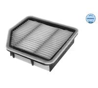Filtro aria Cartuccia filtro 30-12 321 0044 MEYLE per LEXUS IS II IS C GS