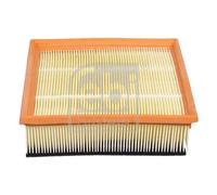 FEBI BILSTEIN 34400 Filtro aria motore Cartuccia filtro con prefiltro