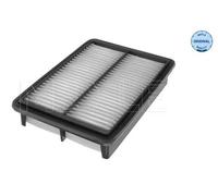 Filtro aria Cartuccia filtro 37-12 321 0029 MEYLE per HYUNDAI H-1 Cargo