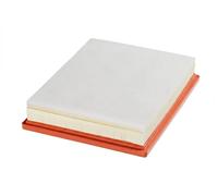VALEO 585246 Filtro aria Filtri motore elevati proprietà di filtrazione, durevolezza, applicazione facile e precisa