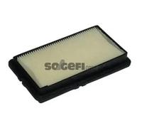 Filtro aria Cartuccia filtro A1006 PURFLUX per HONDA ROVER
