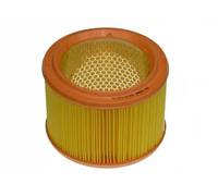 Filtro aria PURFLUX A1034