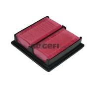PURFLUX A1042 Filtro aria