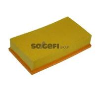 Filtro aria PURFLUX A1096