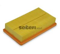 Purflux Filtro aria A1116 – Cartuccia filtro motore