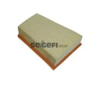 Filtro aria Cartuccia filtro A1196 PURFLUX per RENAULT MERCEDES-BENZ NISSAN