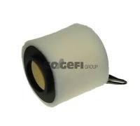 PURFLUX A1200 Filtro aria