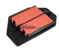 PURFLUX A1209 Filtro aria