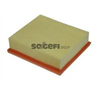 Purflux Filtro aria motore A1238 – Cartuccia filtro