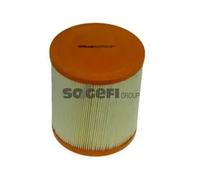 Filtro aria Cartuccia filtro A1291 PURFLUX per AUDI A6 C6 Avant A6 C6