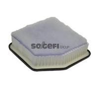 PURFLUX A1305 Filtro aria motore Cartuccia filtro