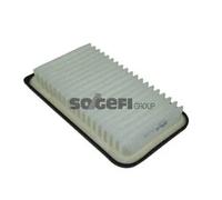 PURFLUX A1313 Filtro aria motore Cartuccia filtro