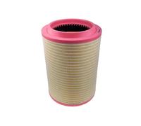 Filtro aria Cartuccia filtro A149021 DENCKERMANN