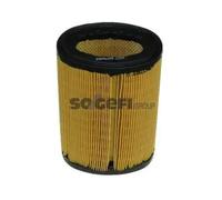 Filtro aria Cartuccia filtro A266 PURFLUX per CITROËN PEUGEOT NISSAN ROVER MEGA
