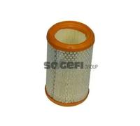 Filtro aria Cartuccia filtro A369 PURFLUX per RENAULT NISSAN