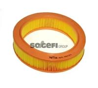 Purflux Filtro aria A575 - Cartuccia filtro per Renault, Ford, Saab