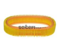 PURFLUX A624 Filtro aria motore Cartuccia filtro