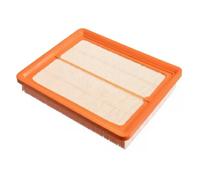 Blue Print Filtro aria ADG02224 per Hyundai Trajet, Sonata e KIA Magentis
