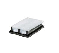 Filtro aria FILTRON AP113/8