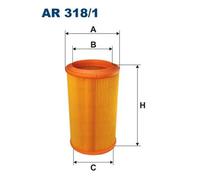 Filtro aria FILTRON AR318/1