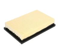 Filtro aria Cartuccia filtro B29913PR JC PREMIUM per CHRYSLER CITROËN PLYMOUTH