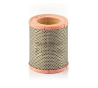 MANN-FILTER C 16 113 Filtro aria