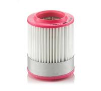 Filtro aria Cartuccia filtro C 1652/1 MANN-FILTER per AUDI A8 D3