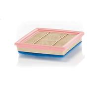 MANN-FILTER filtro aria C22007 cartuccia 217x168x51 mm