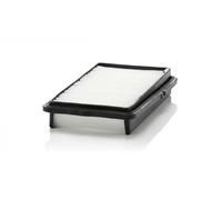 MANN-FILTER C 2537/2 Filtro dell'aria - per Autovetture + veicoli commeriali