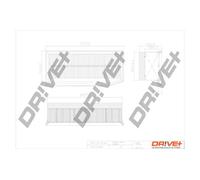 Filtro aria Cartuccia filtro DP1110.10.0546 Drve+ per DACIA RENAULT LADA