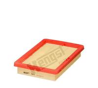 HENGST FILTER Filtro aria