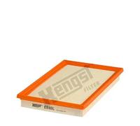 Hengst Hen e880l Motor camere